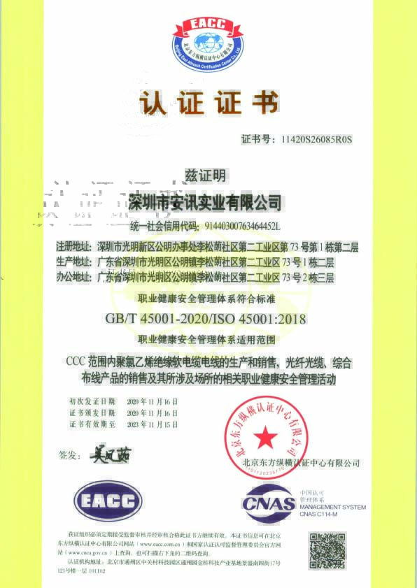 ISO54001职业健康安全管理体系中文